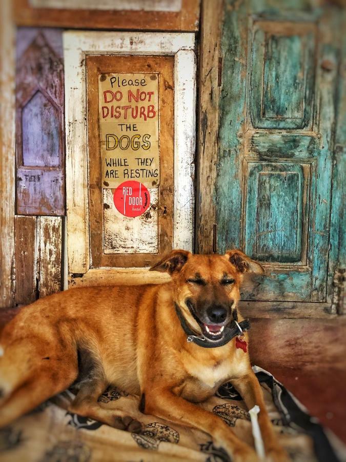 Red Door Hostel Anjuna Luaran gambar